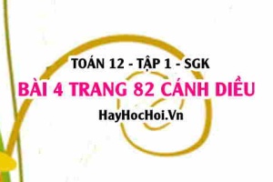 Bài 4 trang 82 Toán 12 tập 1 Cánh Diều